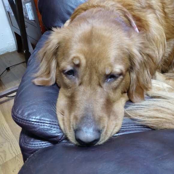 Meet your Posher, Tina - Picture 7 of 7